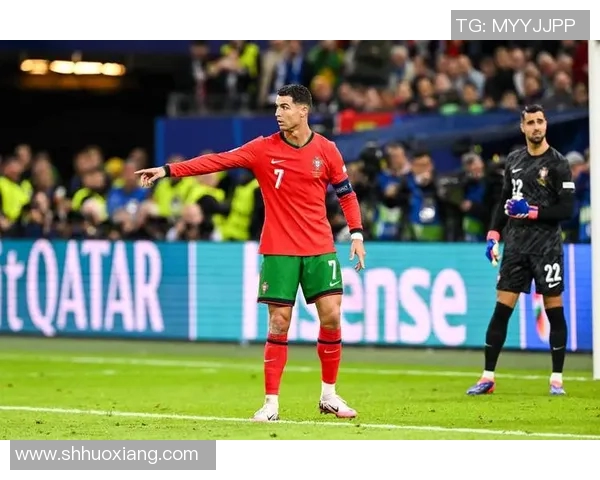 全球足球明星全景图鉴揭示足坛传奇与新星的精彩故事