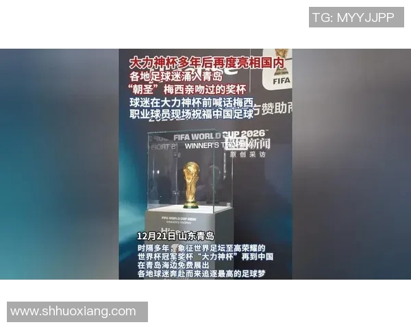 足球明星大力神的传奇之路与辉煌成就揭秘