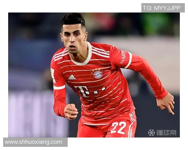 坎塞洛:从边后卫到全能球员的华丽转身与未来展望